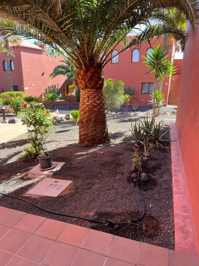 Apartamento Casa Mimi Oasis Tamarindo Corralejo Exterior foto